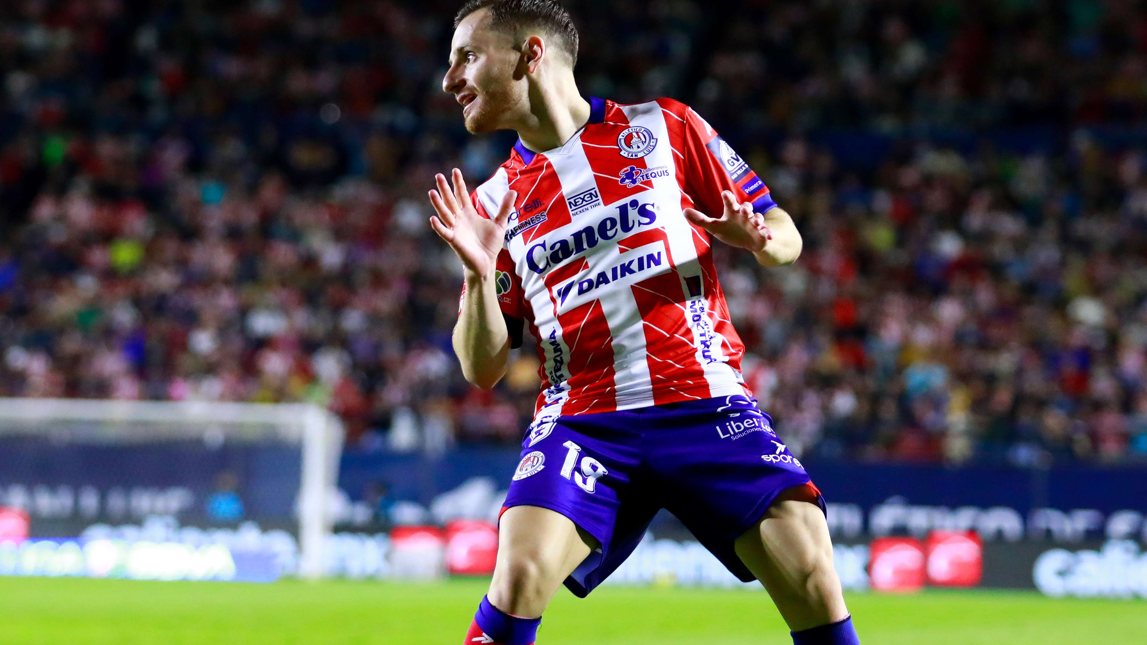 效反击和体 效反击和体